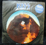 1989 Original U.S. Official Polygram "HOT IN THE SHADE" (2-Sided) Picture Disc! MINT!